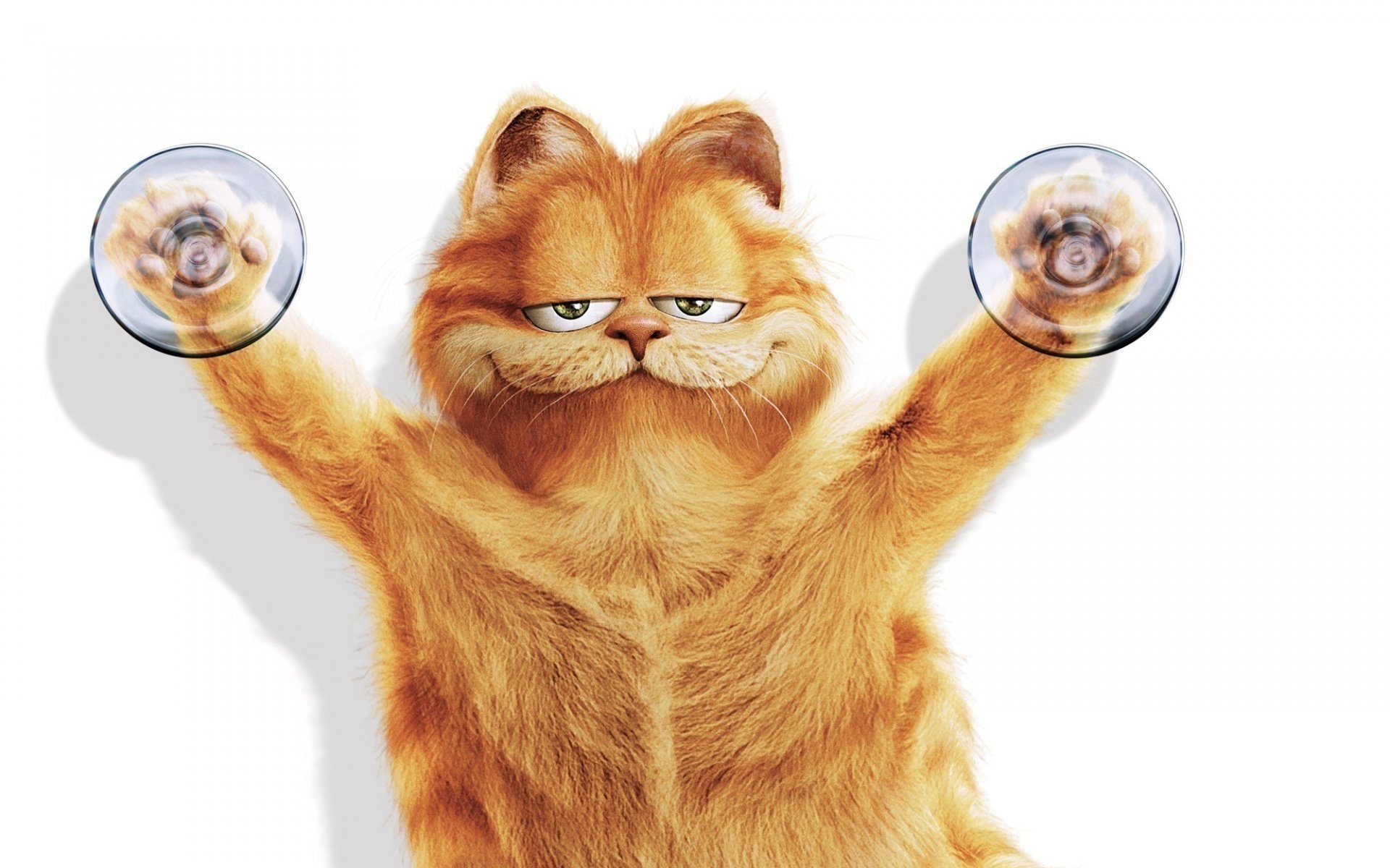 fondo blanco garfield gato lechón broma sonrisa fondo blanco cine ficción diversión risa