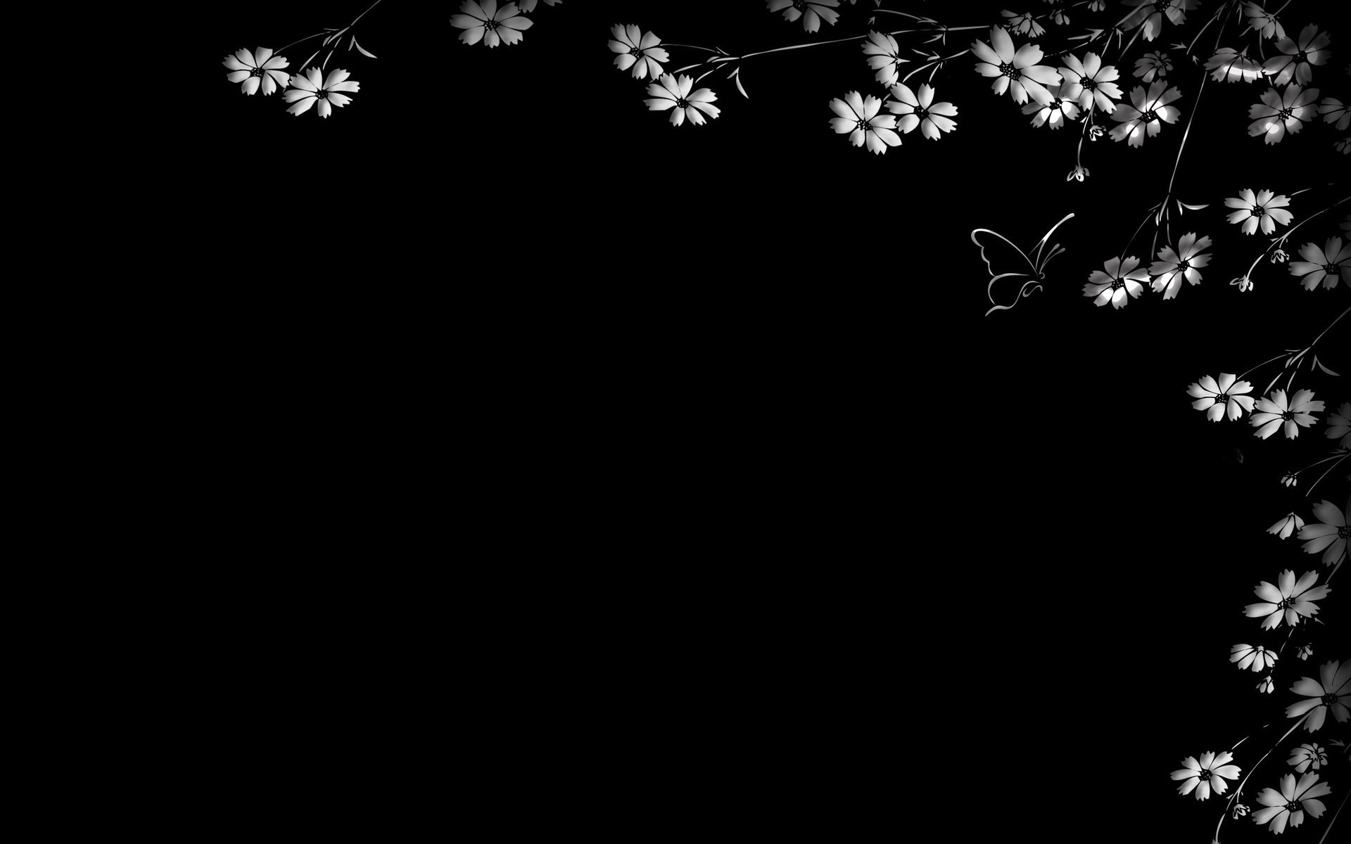 fondo negro flores mariposa