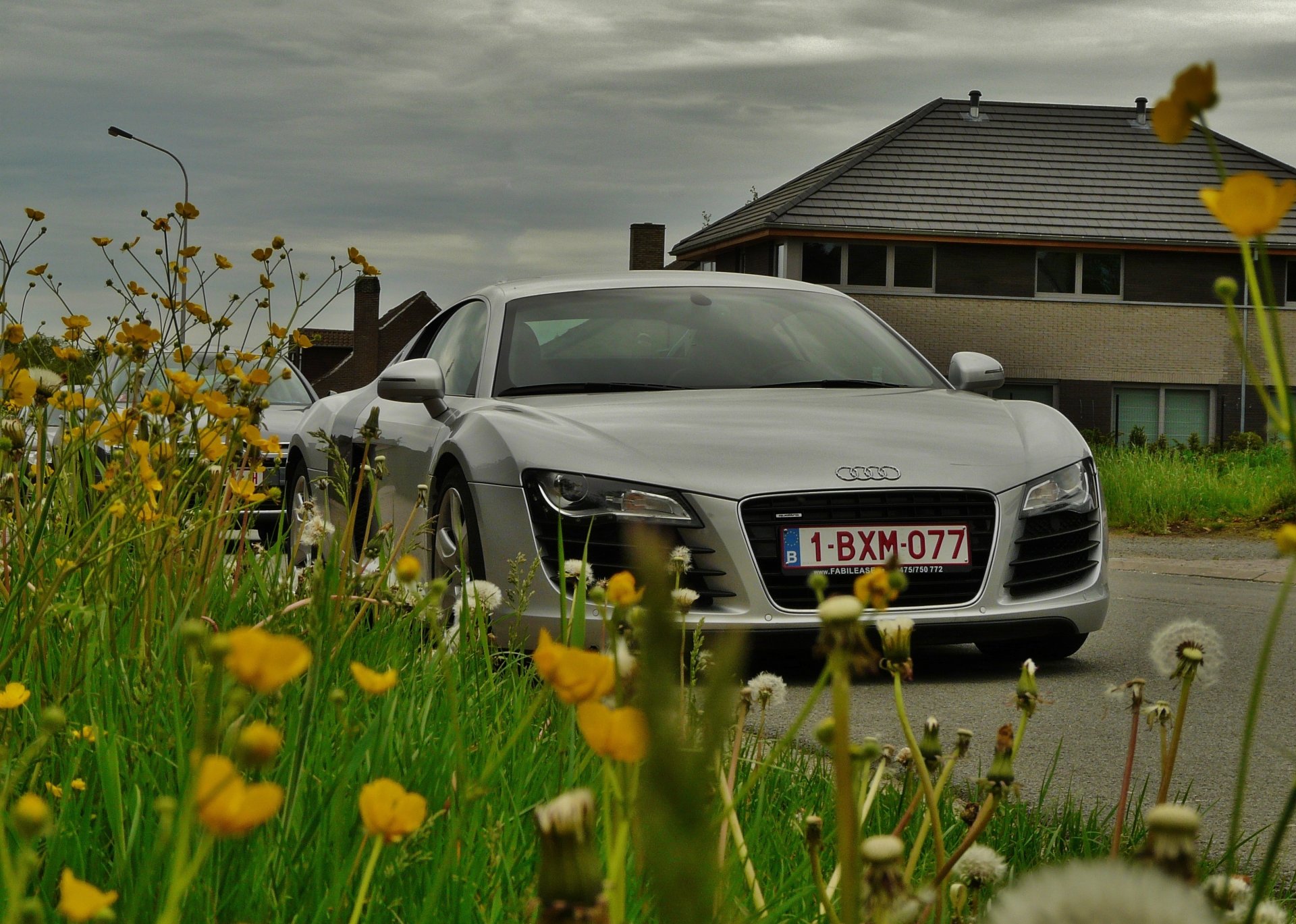 fleurs herbe pissenlits route voiture audi r8 moteur moyen quatre roues motrices supercar maison ciel nuages