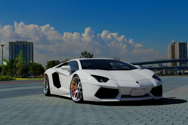 Sporty White Bright Car Urban Landscape