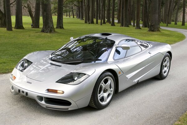 McLaren f1, color plata