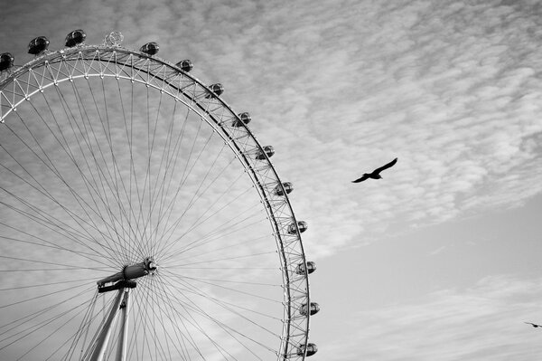 An eagle flies next to a Ferris wheel in London