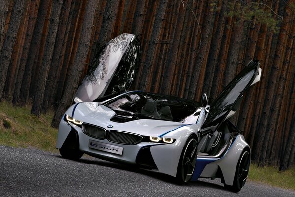 BMW EfficientDynamics Concept en lesnryh Road
