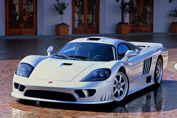 Beautiful sports supercar saleen s7