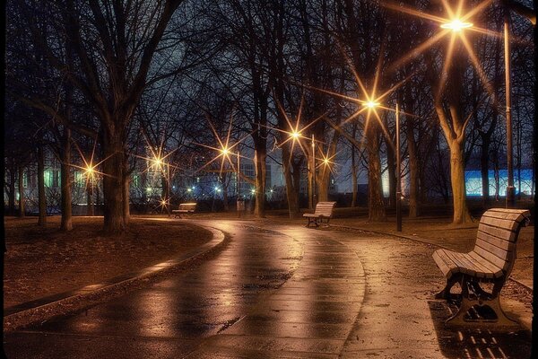 Allée du parc en fin de soirée