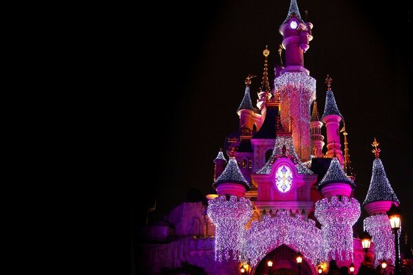 Fabelhaftes Disneyland in rosa Highlight