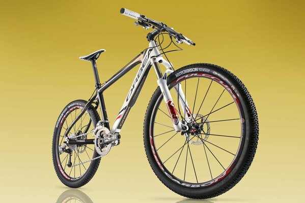 Bicicleta de montaña deportiva. Hermoso diseño de bicicleta. Ciclismo