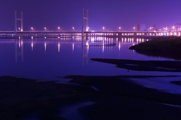 Lumières nocturnes du pont de Taiwan