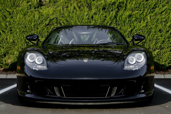 Black Porsche Carrera in front on a background of greenery