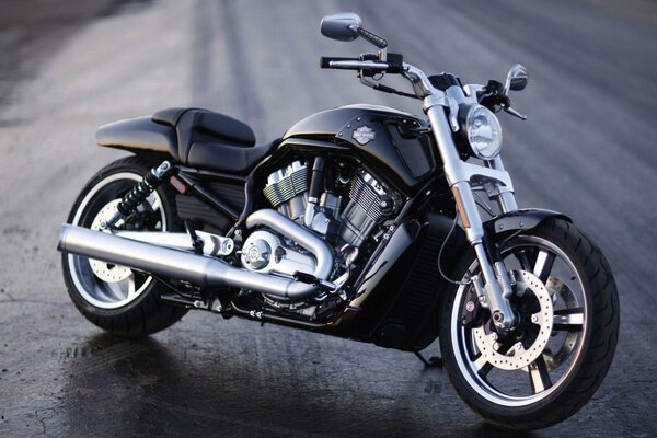 Harley Davidson/Black