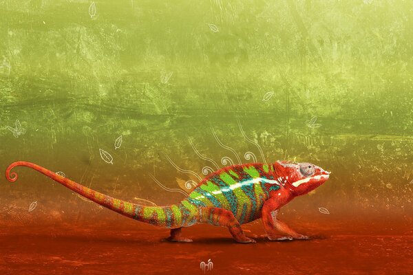 A multicolored chameleon sits on the red sand