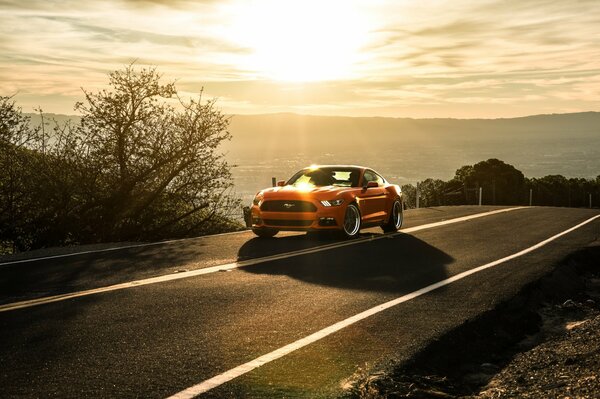 The elegant shapes of the ford mustang in the sunset light