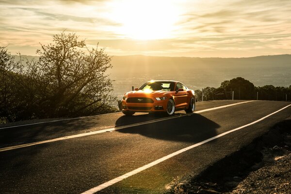 Formes élégantes de ford mustang dans la lumière du coucher du soleil