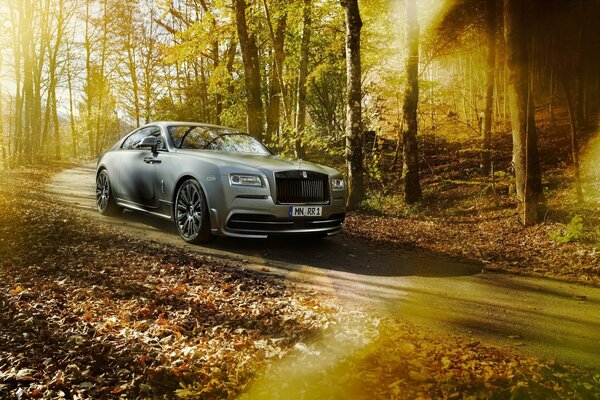 La Rolls-royce grigia cavalca attraverso la foresta autunnale