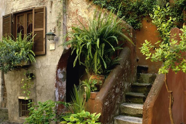 Итальянский дом. Лестница в цветах