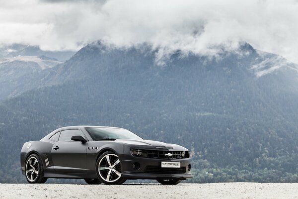 Black Camaro with platinum discs is A MASTERPIECE