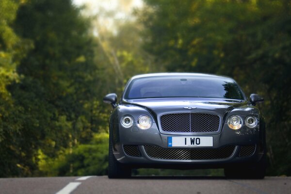 Ein guter Bentley auf einer Waldstraße