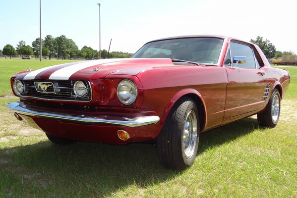 Coche Mustang rojo de pie en la hierba