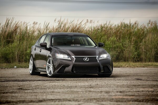 A black tinted Lexus stands in the field