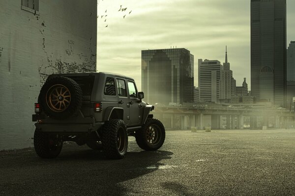 Jeep ist ein OFFROAD-Rennen durch die Wüste genau richtig