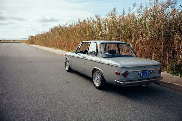 Bmw e10 1969 года. Классика на фоне камыша