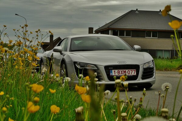 The audi r8 car is white next to the flowers