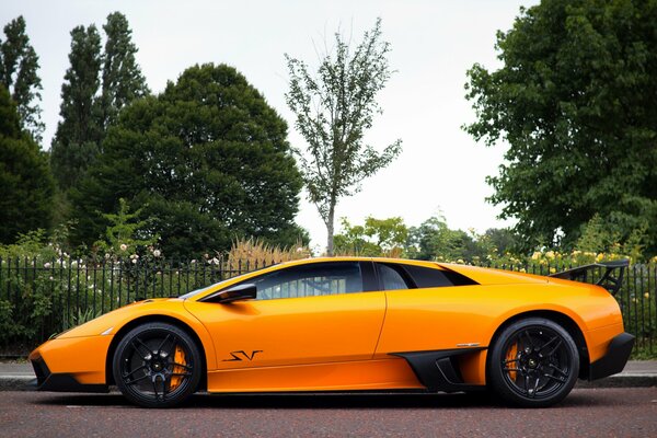 Orange lamborghini murcielago à profil