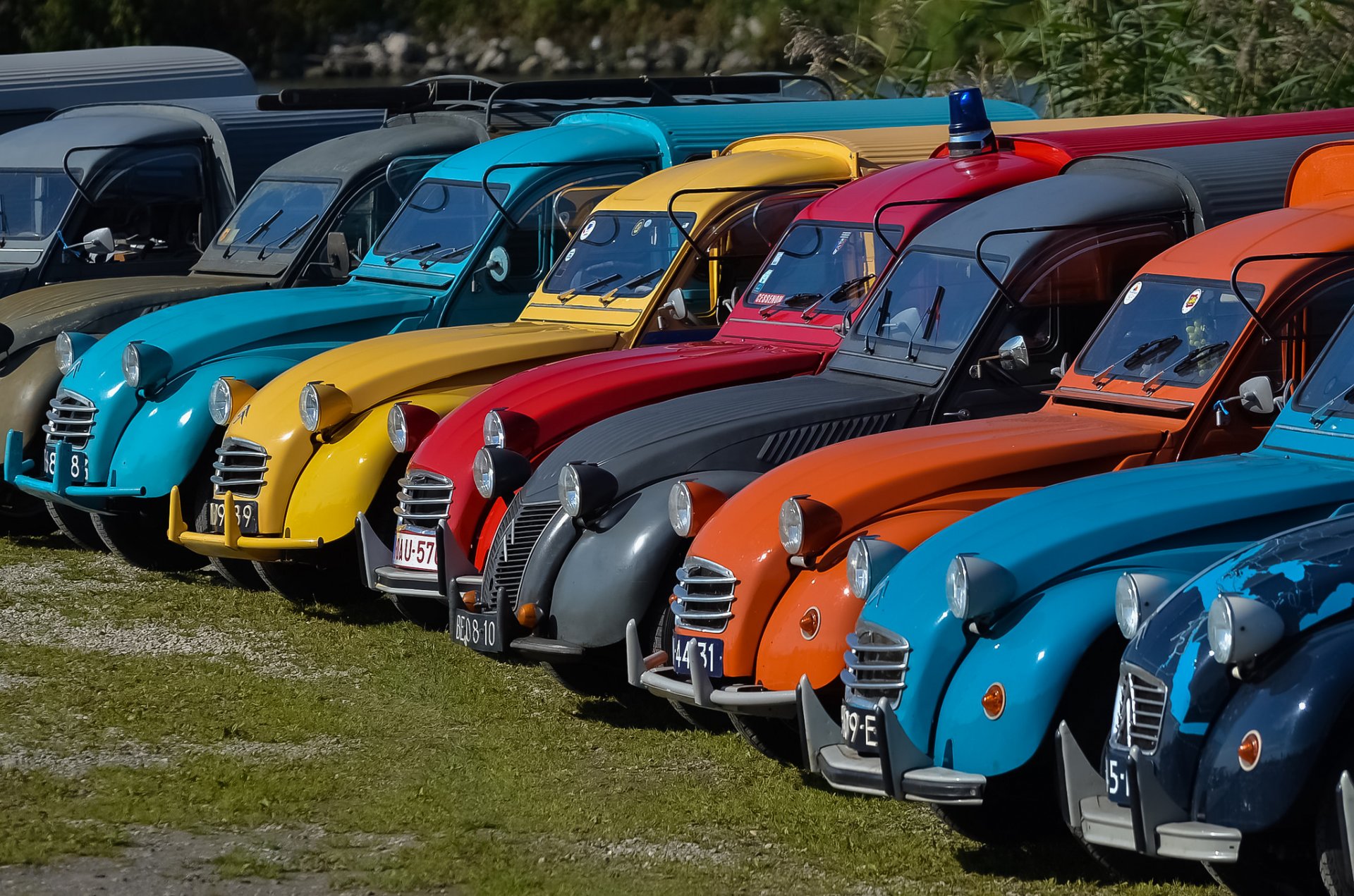 citroen 2cv rząd retro kolor farba reflektor wystawa