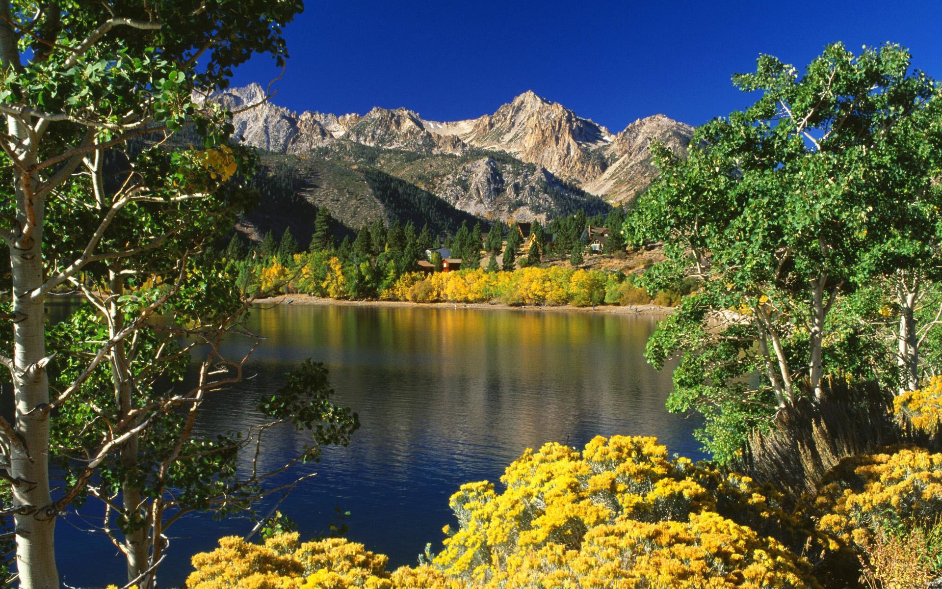 fiori elm villaggio di montagna lago montagne cielo blu paesaggio natura vegetazione verde alberi cespugli acqua superficie liscia cime riflessione abete rosso