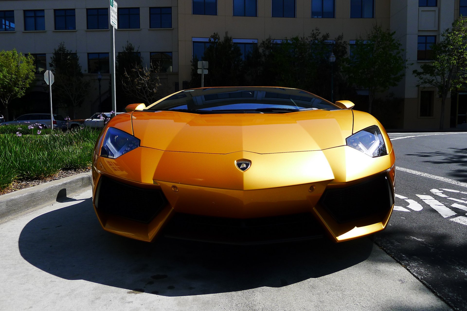 lamborghini aventador lp700-4 żółty lamborghini aventador przód cień odbicie