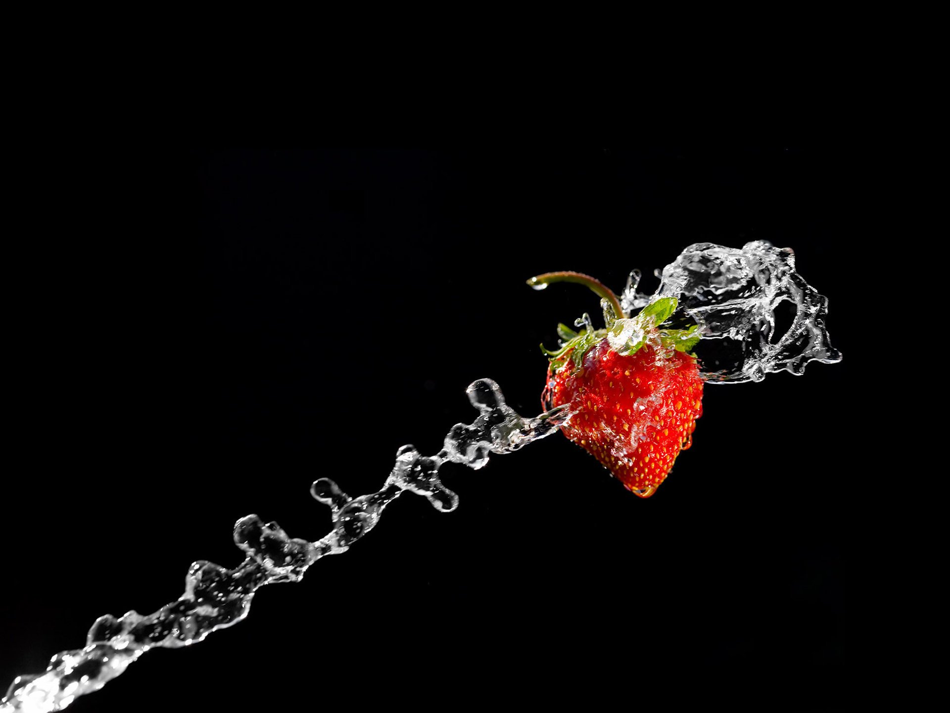 fresa minimalismo comida agua calidad fondo fondo negro salpicaduras baya fruta