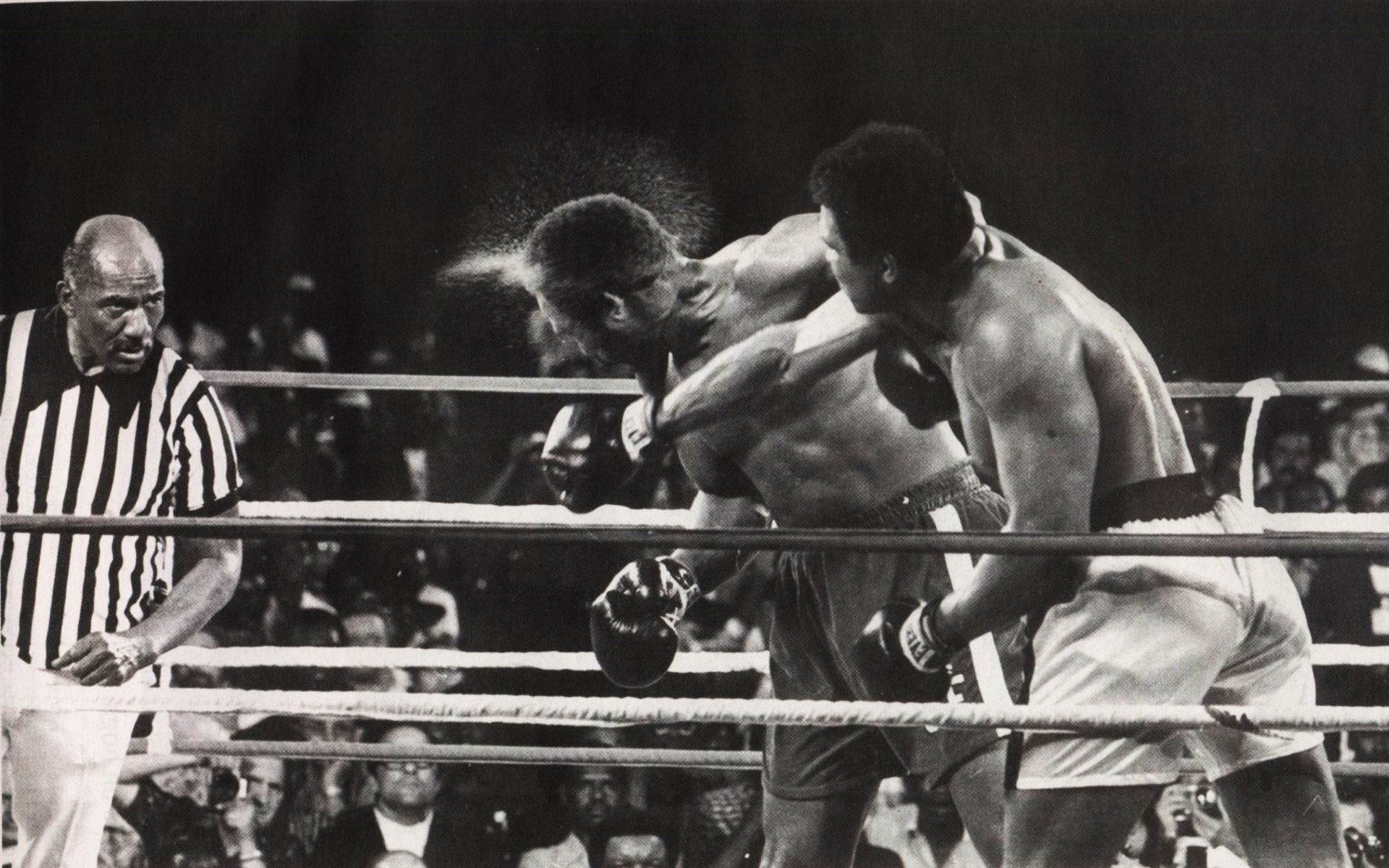 muhammad ali sport boxen kick duell h-b männer ring