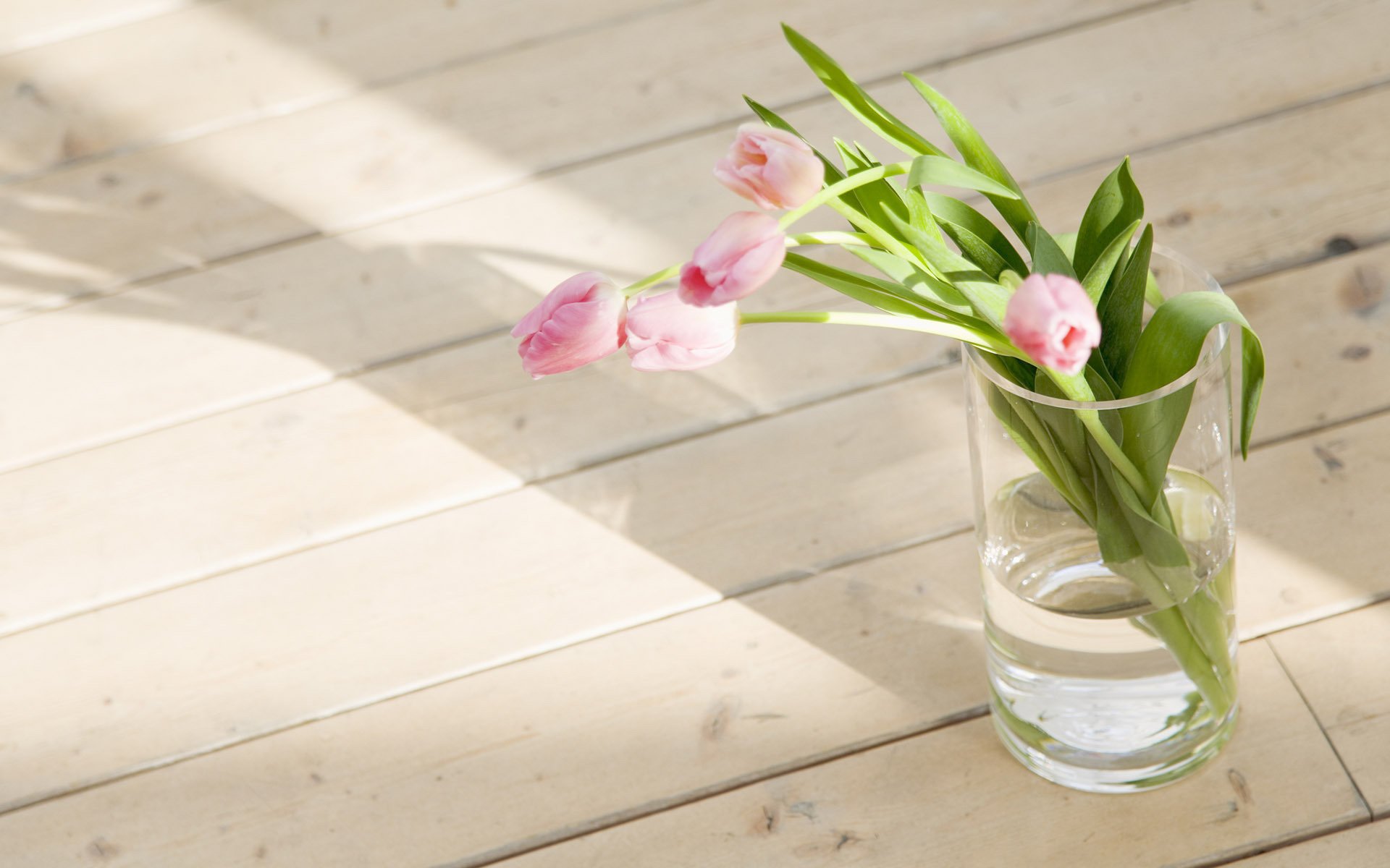 tulipanes flores piso primavera foto florero papel pintado ramo vaso agua frescura tulipanes rosados