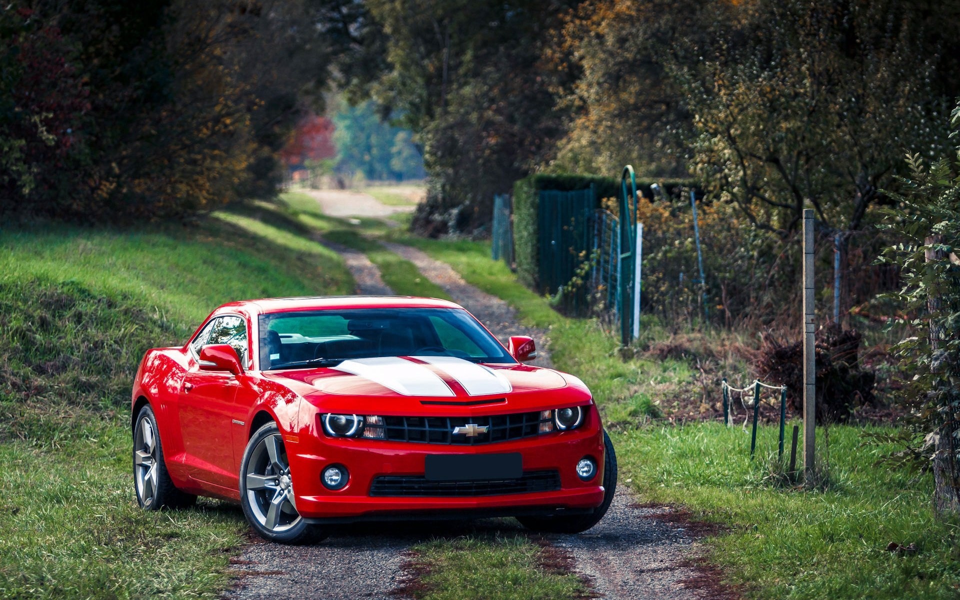 camaro rouge muscle car chevrolet chevrolet camaro