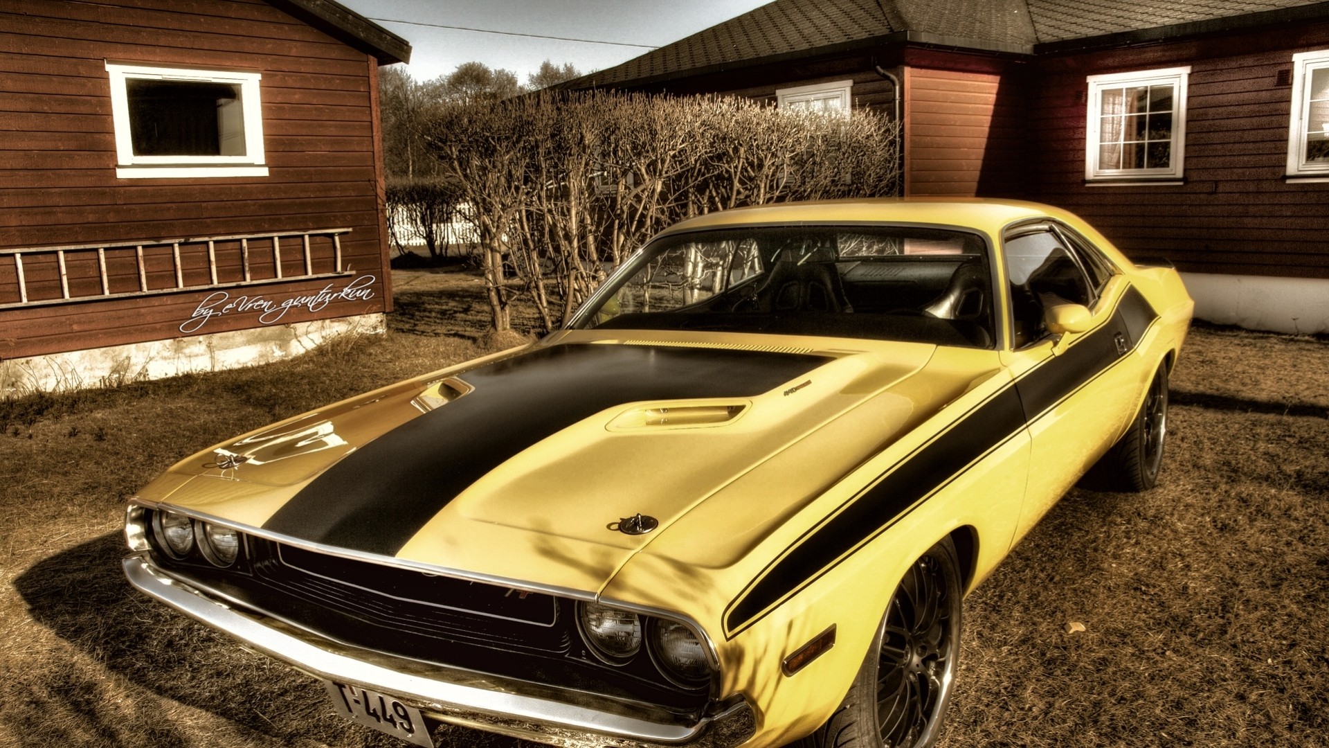 cour voiture jaune maison muscle