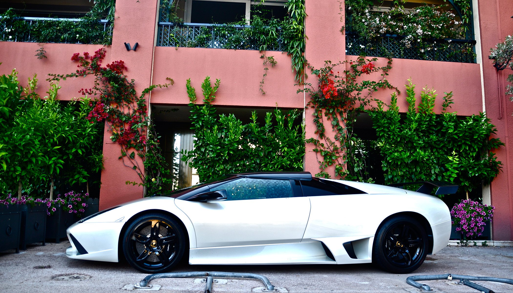 lamborghini murcielago blanco lamborghini