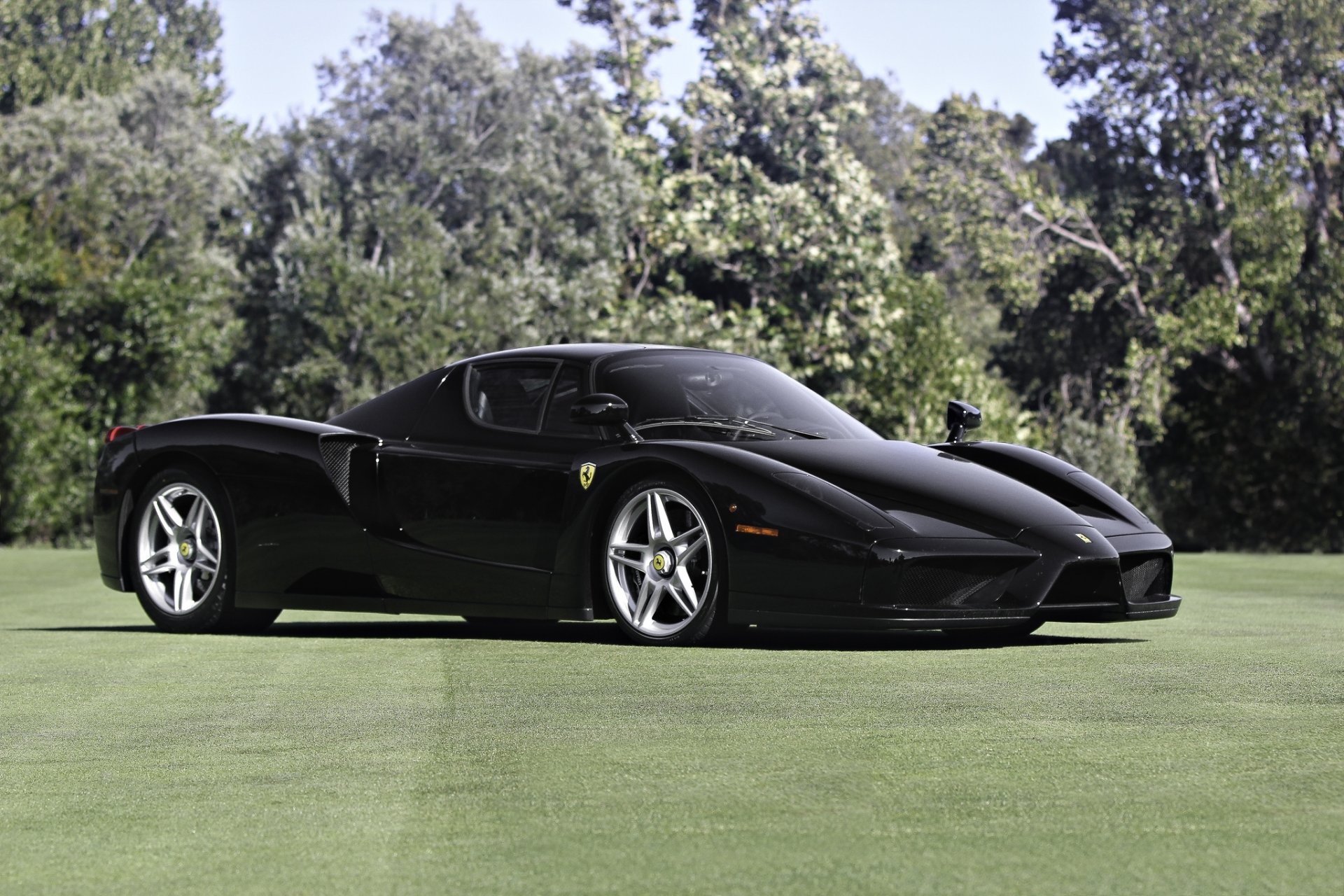 ferrari enzo nero ferrari alberi prato