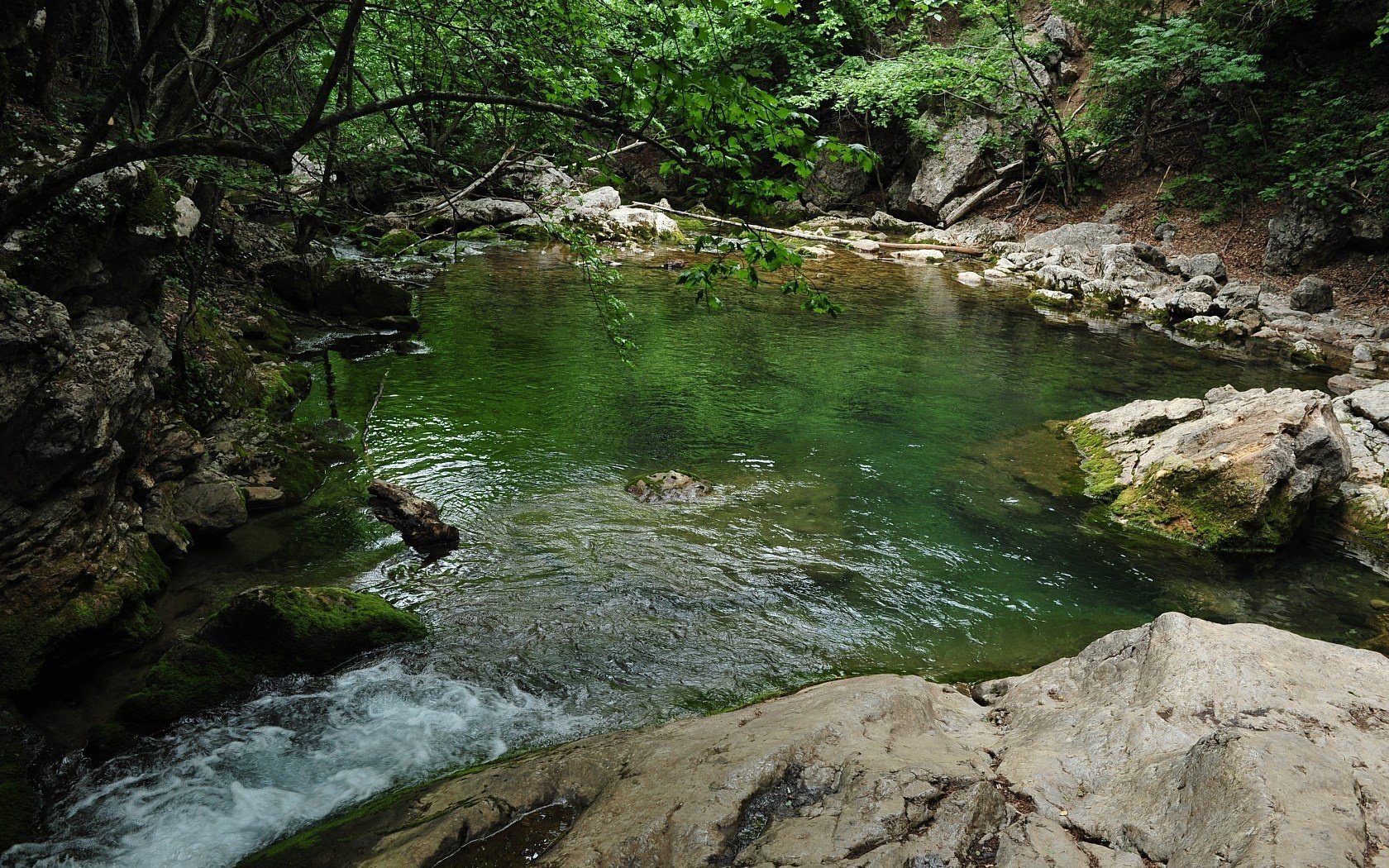 wielki kanion krymski krym jezioro natura kamienie drzewa liście zieleń krzewy góry mech czysta woda las woda