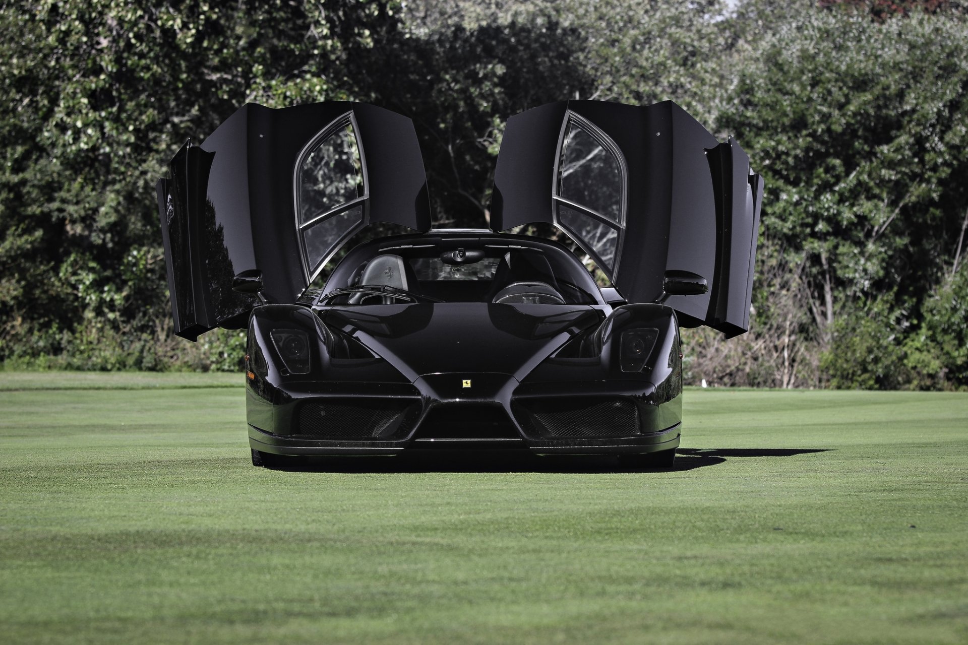 ferrari enzo noir ferrari avant portes ombre