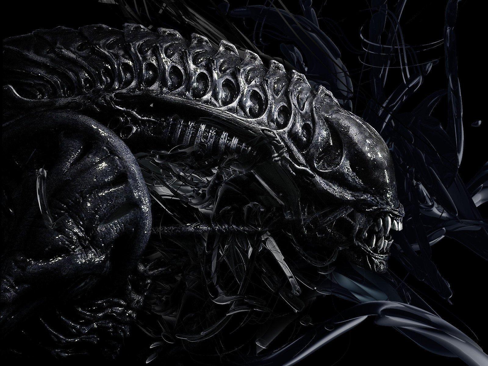 alien alien vs predator alien xenomorph xenomorfo testa sfondo fantascienza film