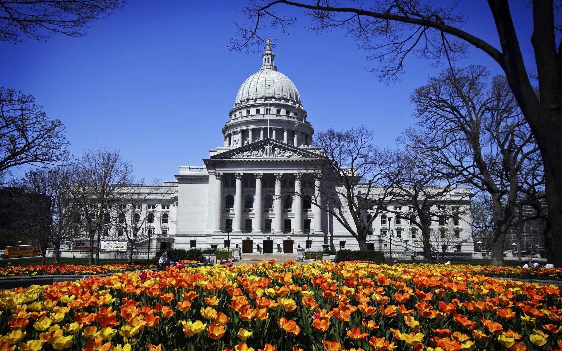 washington madison park blumen