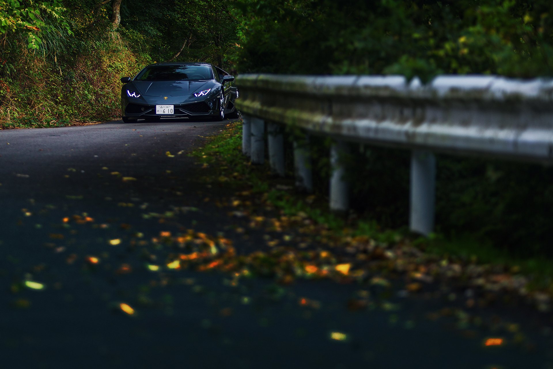 route forêt automne