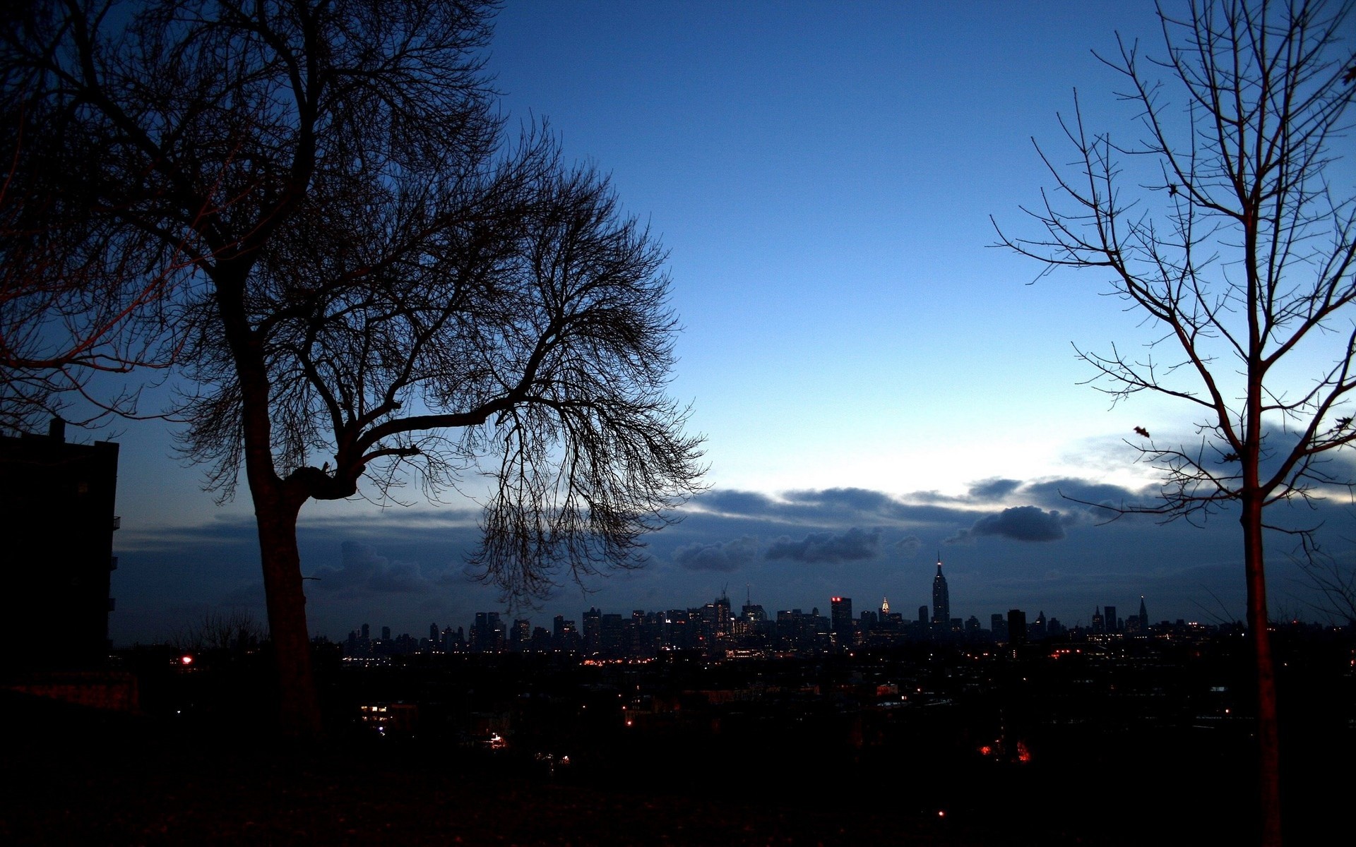 città alberi sera new york