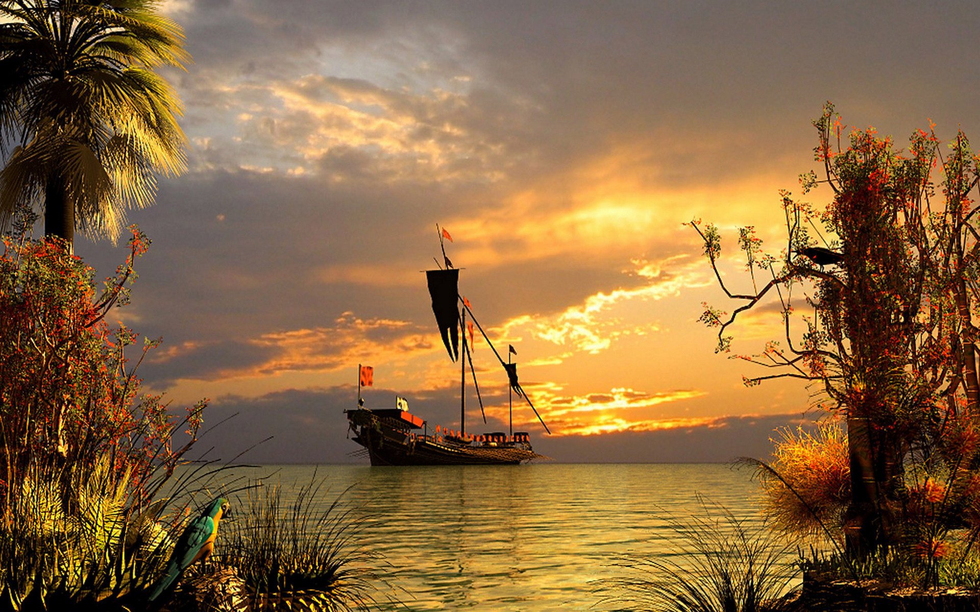 mer paysage yacht palmiers soir coucher de soleil perroquet plantes nuages surface ciel eau