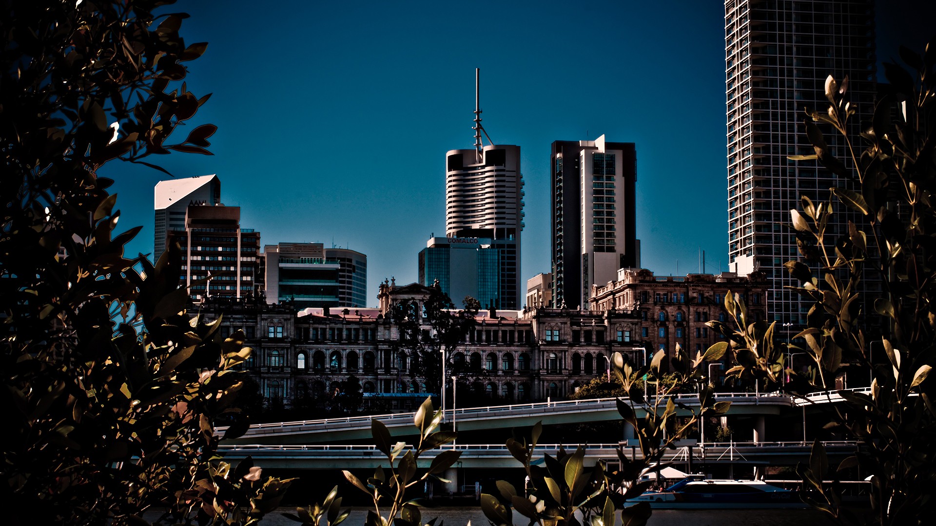 covalco wharf freeway tree