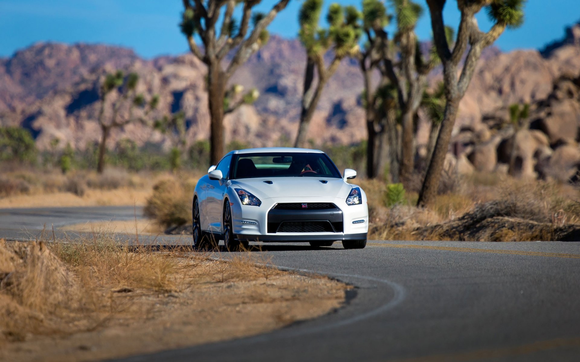 nissan gt-r blanco auto coche frente asfalto carretera