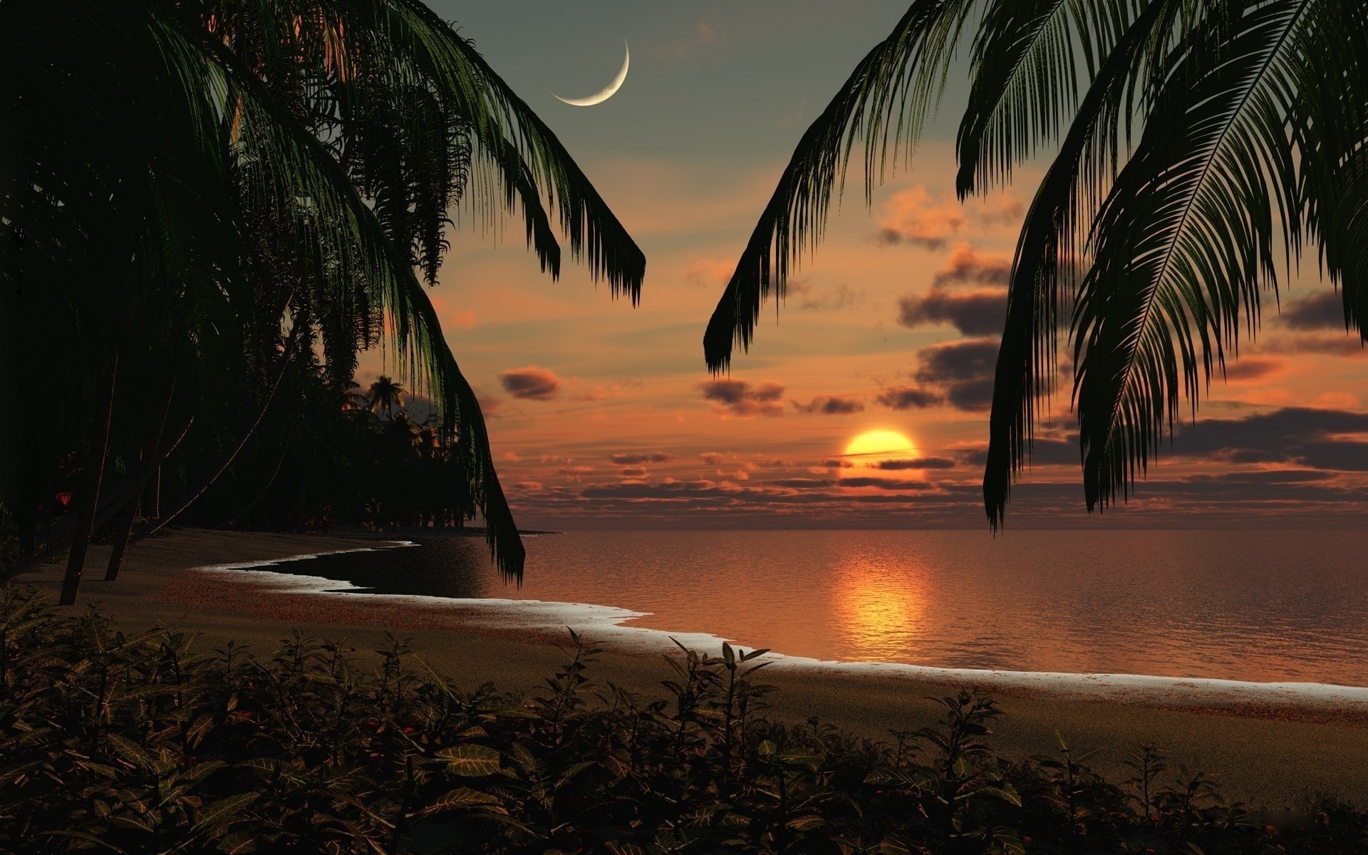 unset the evening sea palm trees horizon surface the moon clouds landscape shore coast plants romance water the sky