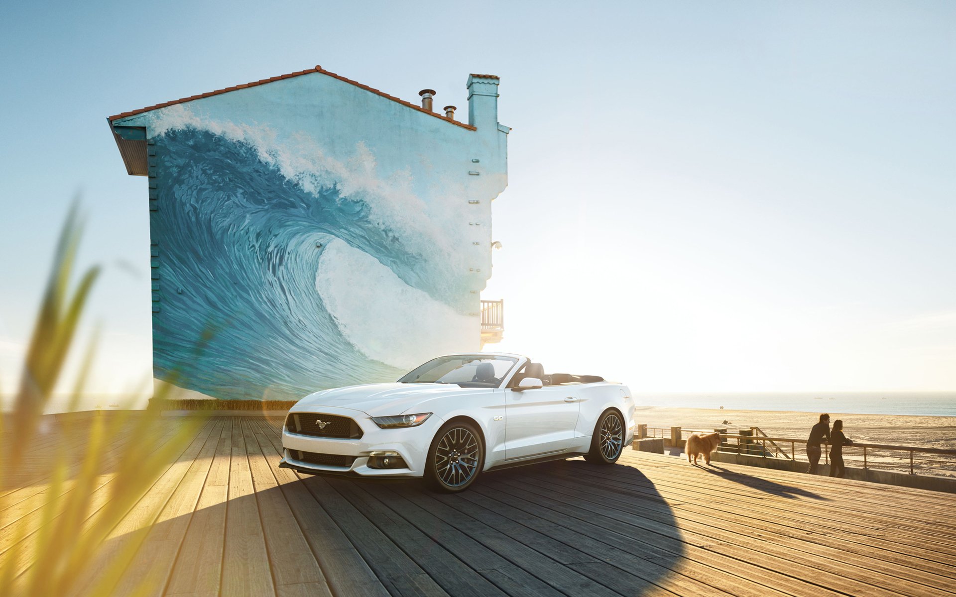 ford mustang voiture cabriolet chien