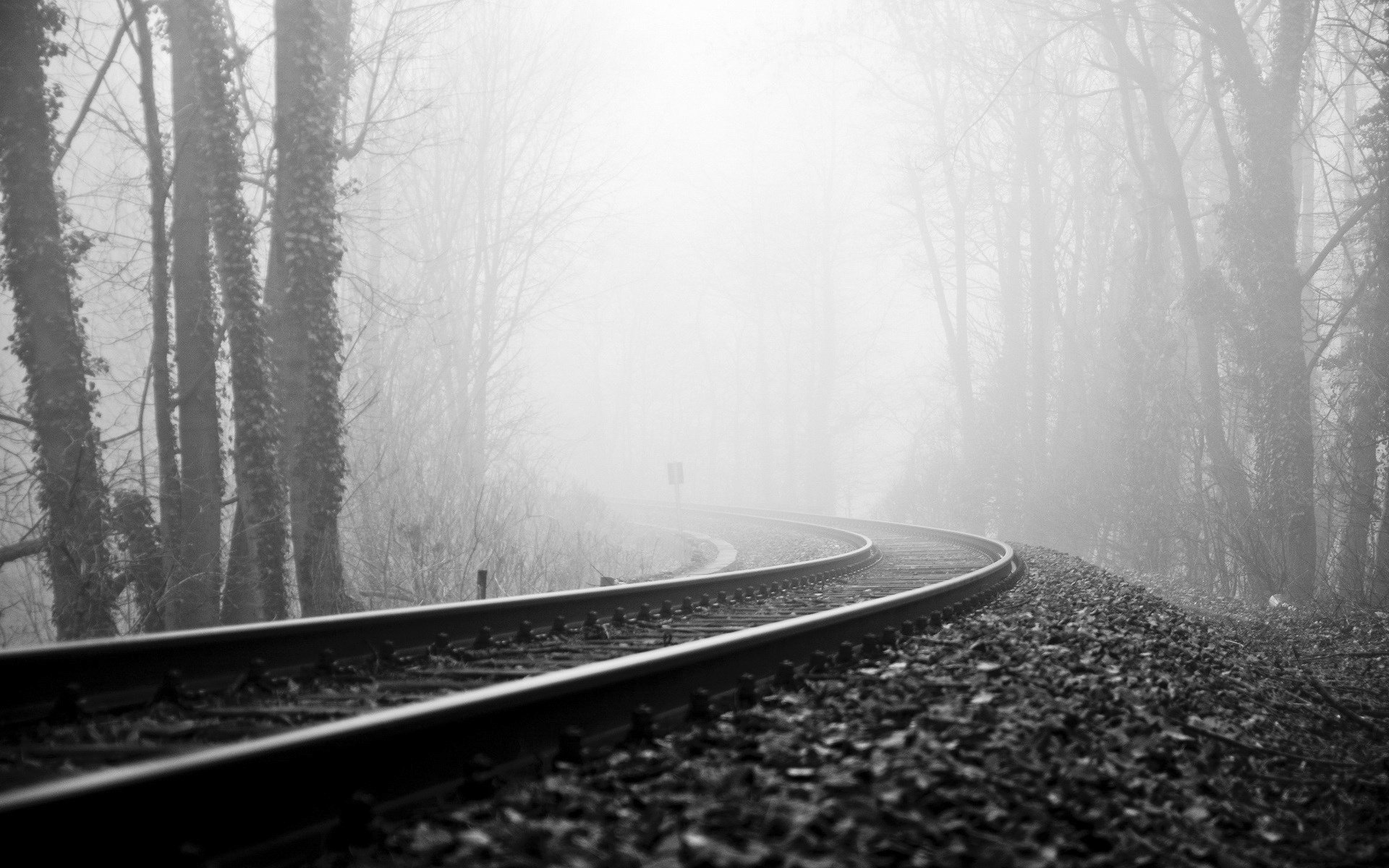 route chemin de fer forêt brouillard rails arbres automne grisaille brume tour nuageux