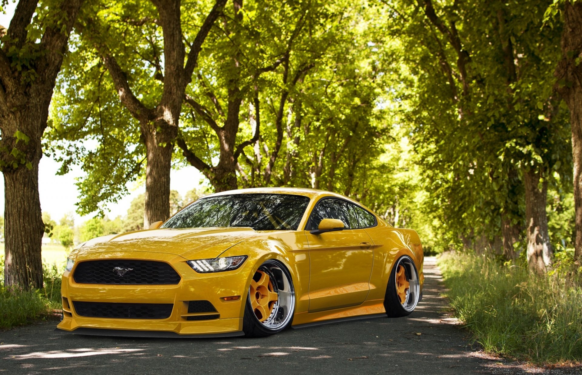 ford mustang 2015 pozycja żółte tuning przednie koła